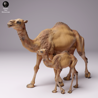 Anml-240703 dromedary camel female and calf（ヒトコブラクダの親子）