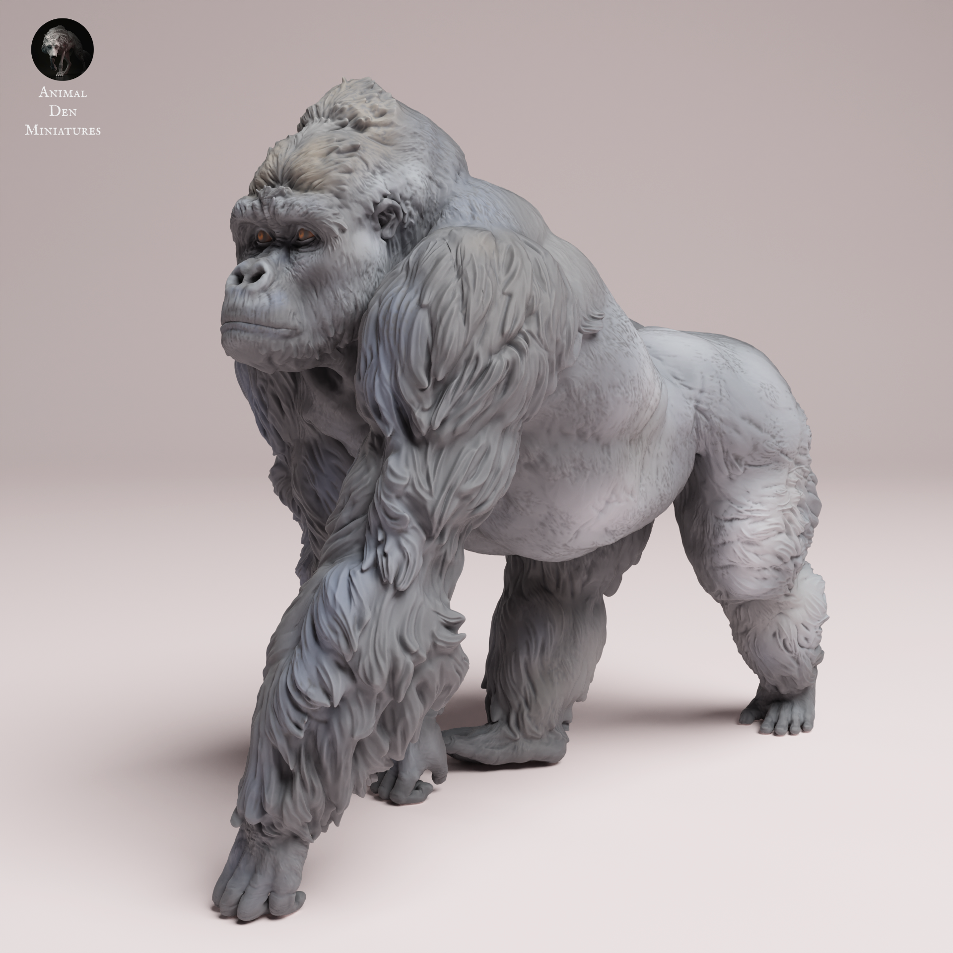 Anml-250711 grauers gorilla silverback（イースタン ローランド