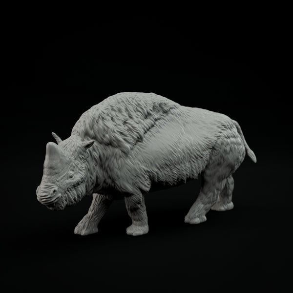 DinD-231201 elasmotherium