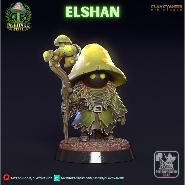 Ccm-250605 Mushroom Elshan