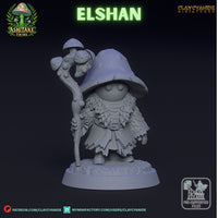 Ccm-250605 Mushroom Elshan