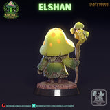 Ccm-250605 Mushroom Elshan