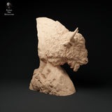 Anml-231101  european bison bust