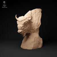 Anml-231101  european bison bust