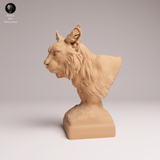 Anml-260701 Eurasian Lynx bust