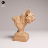 Anml-260701 Eurasian Lynx bust