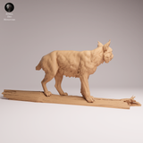 Anml-260703 Eurasian Lynx tree（オオヤマネコ）