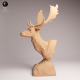 Anml-260103 European fallow deer bust（ダマジカ）