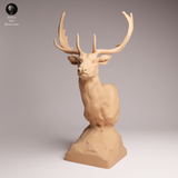 Anml-260103 European fallow deer bust（ダマジカ）
