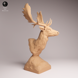 Anml-260103 European fallow deer bust（ダマジカ）