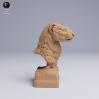 Anml-250503 european polecat bust (ヨーロッパケナガイタチ）