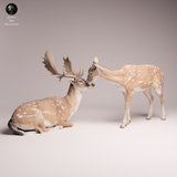 Anml-260104 European fallow doe and fawn（ダマジカ）