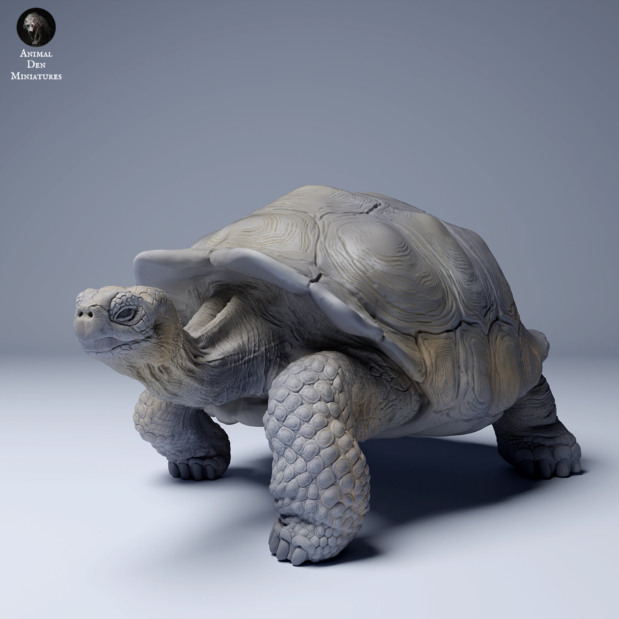 galapagos_tortoise_walk_4_2048 