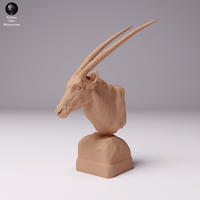 Anml-240706 gemsbok bust（オリックスの胸像）