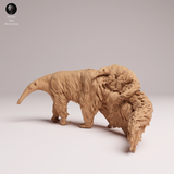 Anml-251104 Giant Anteater with pup（オオアリクイ）