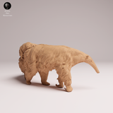 Anml-251104 Giant Anteater with pup（オオアリクイ）