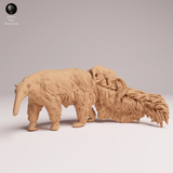 Anml-251104 Giant Anteater with pup（オオアリクイ）