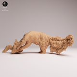 Anml-251103 Giant Anteater eat（オオアリクイ）