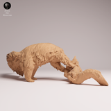 Anml-251103 Giant Anteater eat（オオアリクイ）