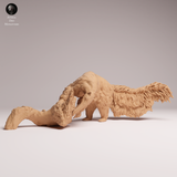 Anml-251103 Giant Anteater eat（オオアリクイ）