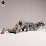 Anml-251103 Giant Anteater eat（オオアリクイ）