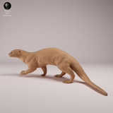 Anml-260801 Giant Otter（オオカワウソ）