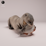 Anml-260802 Giant Otter eating（オオカワウソ）