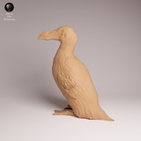 Anml-260401 Great Auk（オオウミガラス）