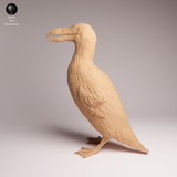 Anml-260403 Great Auk stand（オオウミガラス）