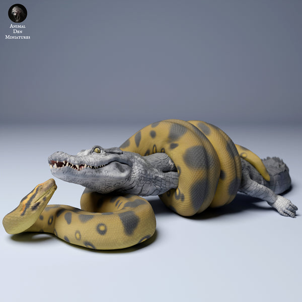Anml-240406 green anaconda vs caiman