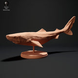 Anml-230702 greenland shark swim