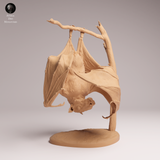 Anml-251201 Hammer-headed Bat（ウマヅラコウモリ）