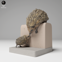 Anml-241107 European hedgehogs climbing