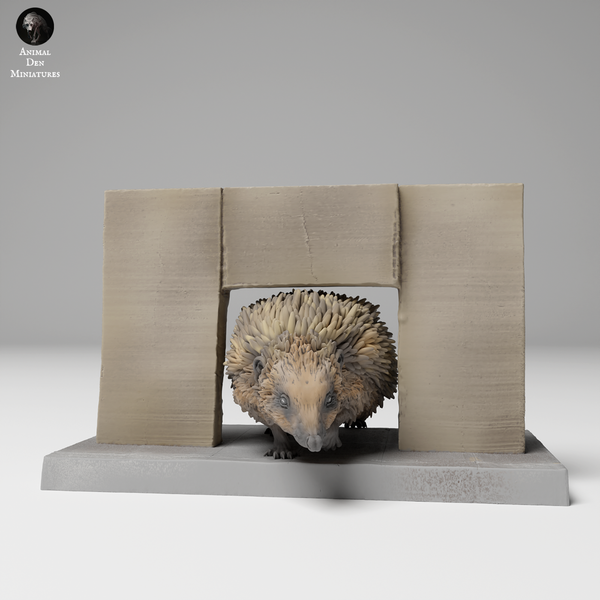 Anml-241106 European hedgehog fence