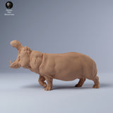 Anml-240306 Hippo