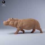 Anml-240309 Hippo run