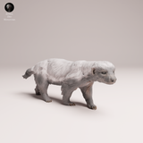 Anml-250802 honey badger(ミツアナグマ)