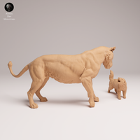 Anml-250811 lioness vs honey badger(雌ライオンとミツアナグマ)