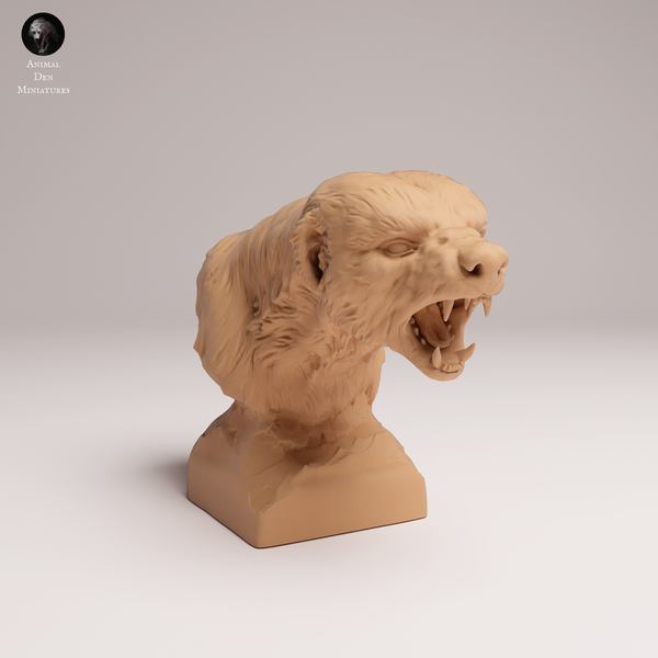 Anml-250803 honey badger bust(ミツアナグマ)