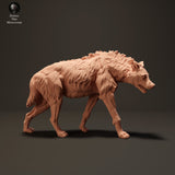 Anml-230813 spotted hyena walk