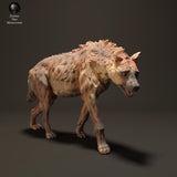 Anml-230813 spotted hyena walk