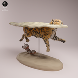 Anml-260807 Jaguar Swimming（ジャガー）