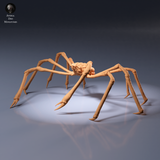 Anml-260903 Japanese Giant Spider Crab Standalone（タカアシガニ）