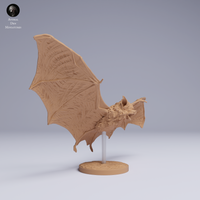 Anml-250504 kittis hog nosed bat fly（キティブタバナコウモリ）