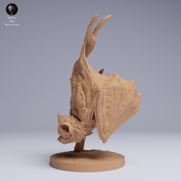 Anml-250505 kittis hog nosed bat hanging（キティブタバナコウモリ）