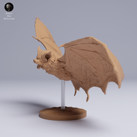 Anml-250504 kittis hog nosed bat fly（キティブタバナコウモリ）