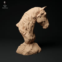 Anml-231107 konik horse bust