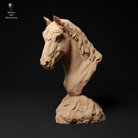 Anml-231107 konik horse bust