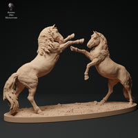 Anml-231108 konik horse fight