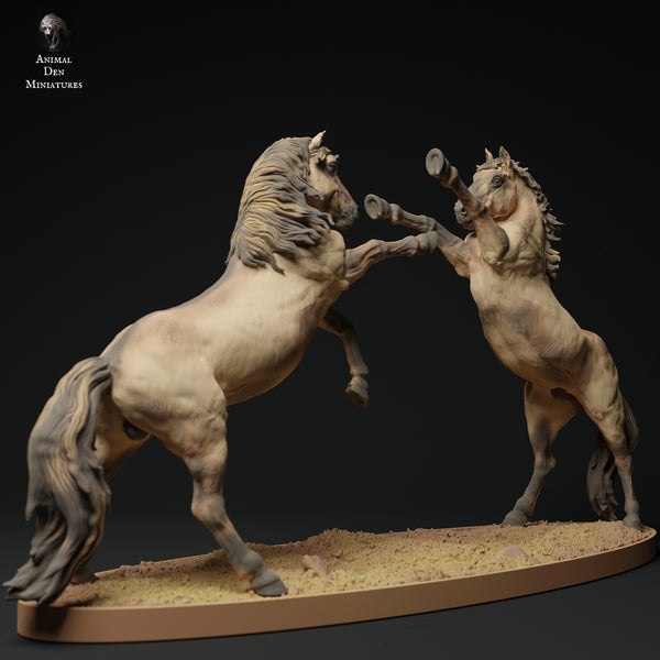 Anml-231108 konik horse fight